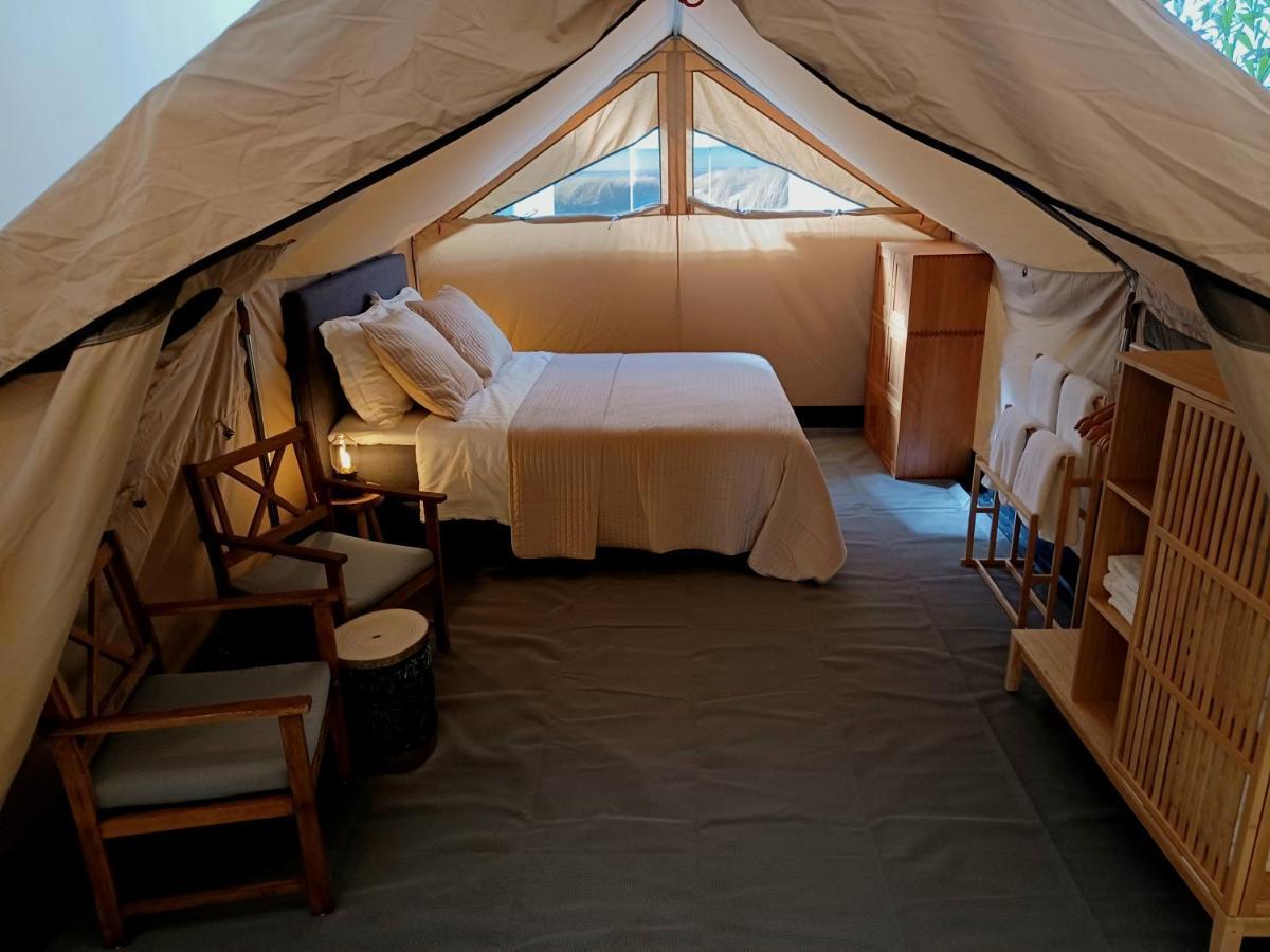 75M2 Indoor Glamping Scheveningen Apartment Haga Exterior foto